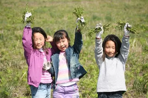 必须要体验的“济州7大特产” 대표이미지