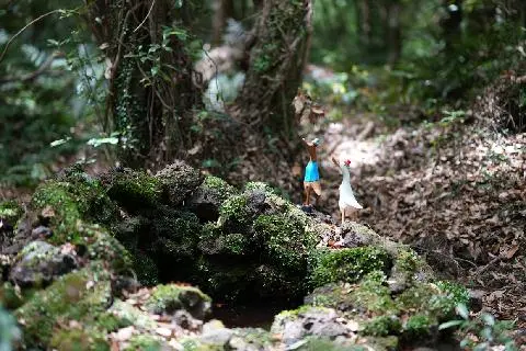 제주 걷기 좋은 길 추천<곶자왈> 대표이미지