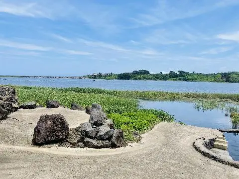 하도리 철새도래지