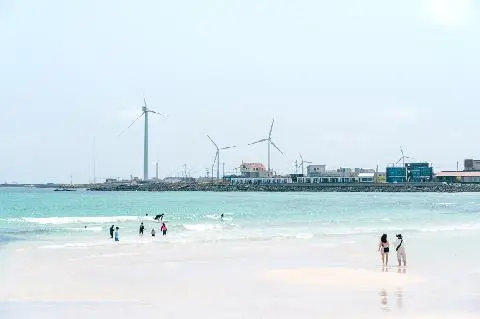 찬란한 제주의 여름을 즐기는 법 <해안로드트립 동부편>