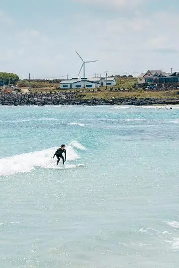 찬란한 제주의 여름을 즐기는 법 <해안로드트립 동부편>