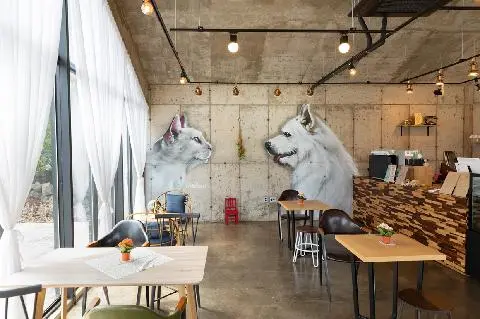 제주펫 대표이미지