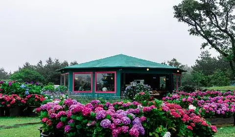 Enjoying a Jeju trip during the rainy season with friends <Love Jeju in the rain> 대표이미지