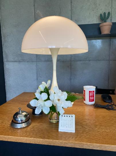 비안 리뷰사진5