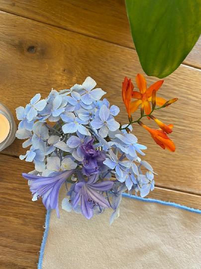 비안 리뷰사진4