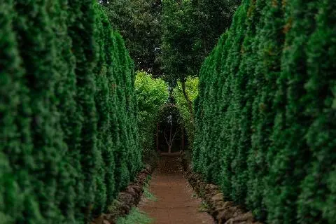 장마철 제주여행 즐기기 <비 오면 더 즐거운 제주여행> 대표이미지