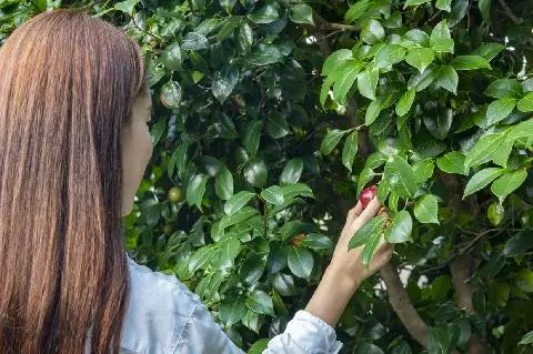 実は難しくない Vegan, Begin <済州ビーガン旅行> 대표이미지