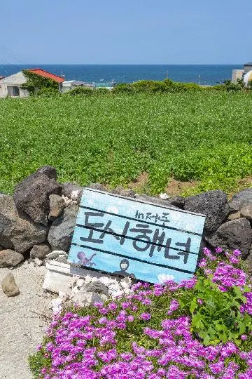 Meet the REAL JEJU! “Fishing Village Experience - Haenyeo (Women diver) Edition” 