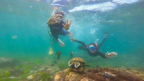 Meet the REAL JEJU! “Fishing Village Experience - Haenyeo (Women diver) Edition”  대표이미지