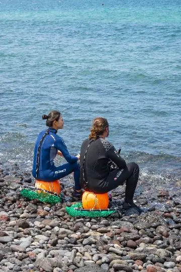 Meet the REAL JEJU! “Fishing Village Experience - Haenyeo (Women diver) Edition” 