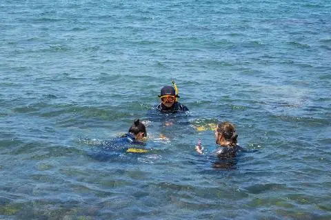 Meet the REAL JEJU! “Fishing Village Experience - Haenyeo (Women diver) Edition” 