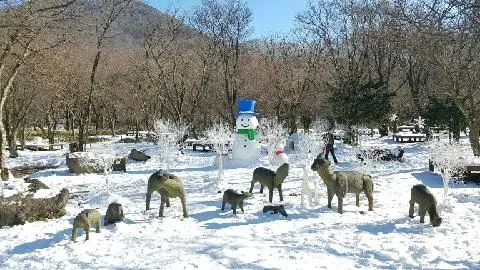 常に美しい済州島、1月はさらに美しい