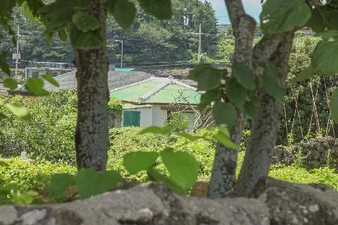 ゆったりとした島の日常に浸る<私のための済州旅行> 대표이미지