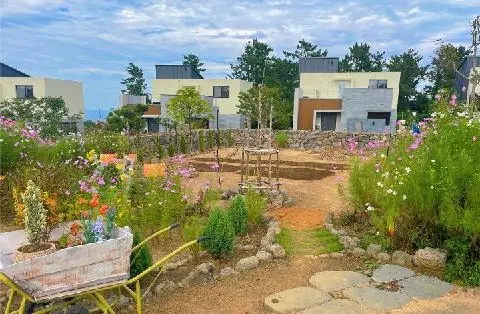 나미송 머무는 곳