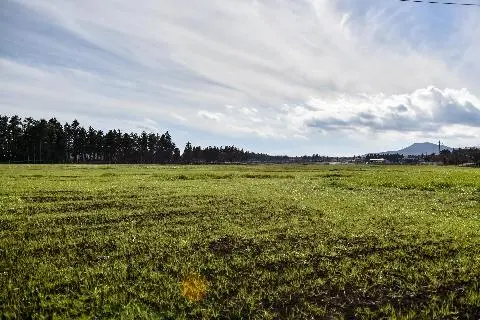 토종닭유통특구교래삼다수마을
