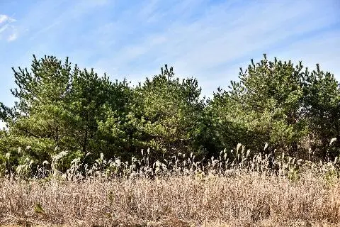 토종닭유통특구교래삼다수마을