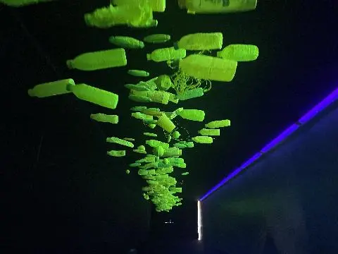 비짓제주와 함께하는 <친환경 제주여행 챌린지> 인증이벤트