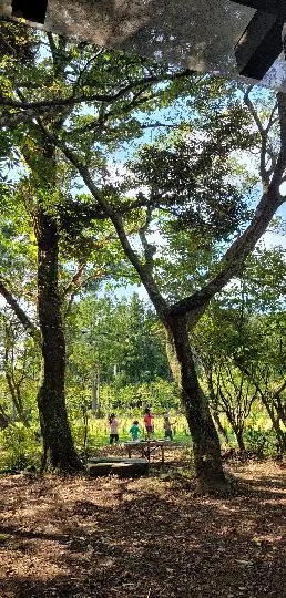 비짓제주와 함께하는 <친환경 제주여행 챌린지> 인증이벤트