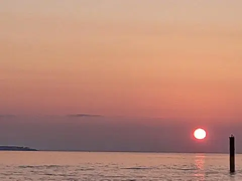 비짓제주와 함께하는 <친환경 제주여행 챌린지> 인증이벤트