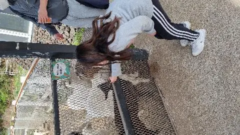 비짓제주와 함께하는 <친환경 제주여행 챌린지> 인증이벤트