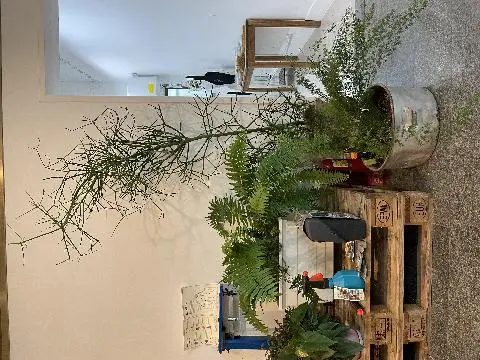 비짓제주와 함께하는 <친환경 제주여행 챌린지> 인증이벤트