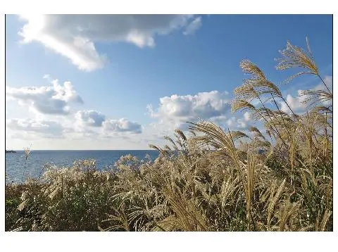 비짓제주가 추천하는 여행지 <가로세로 퀴즈 이벤트>