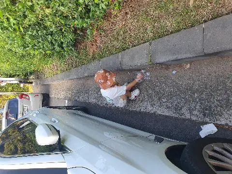 비짓제주와 함께하는 <친환경 제주여행 챌린지> 인증이벤트