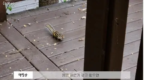 비짓제주가 추천하는 여행지 <가로세로 퀴즈 이벤트>