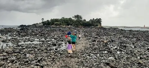비짓제주가 추천하는 여행지 <가로세로 퀴즈 이벤트>