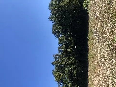 비짓제주가 추천하는 여행지 <가로세로 퀴즈 이벤트>