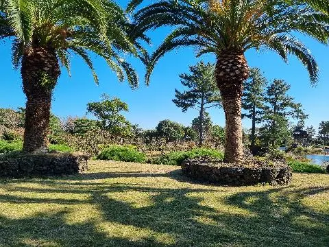 비짓제주가 추천하는 여행지 <가로세로 퀴즈 이벤트>