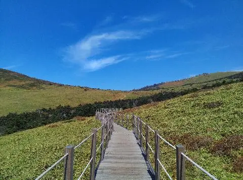 비짓제주가 추천하는 여행지 <가로세로 퀴즈 이벤트>