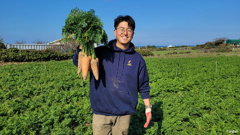 제주시 5대 밭작물의 매력에 푹 빠져보세요! <제주밭한끼> 대표이미지