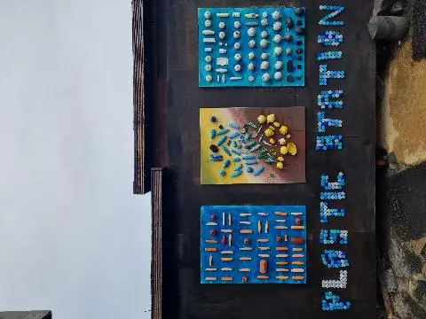  <11월 친환경 제주여행 챌린지> 인증 이벤트