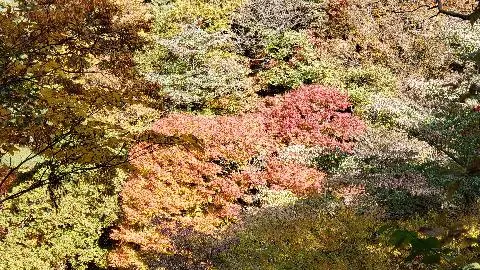  <11월 친환경 제주여행 챌린지> 인증 이벤트