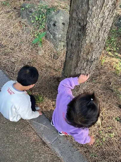  <11월 친환경 제주여행 챌린지> 인증 이벤트