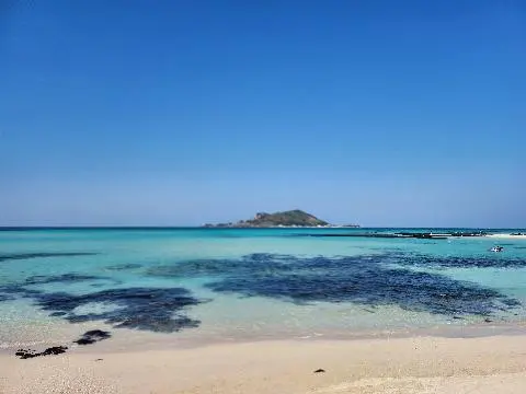  <11월 친환경 제주여행 챌린지> 인증 이벤트