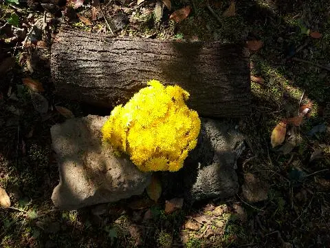  <11월 친환경 제주여행 챌린지> 인증 이벤트