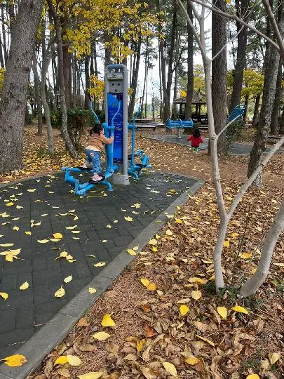  <11월 친환경 제주여행 챌린지> 인증 이벤트