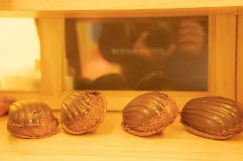 깅코 사진