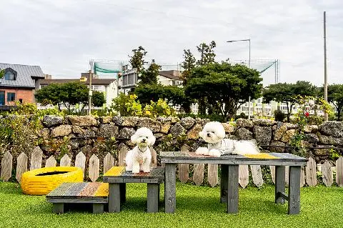 러블리독스 대표이미지