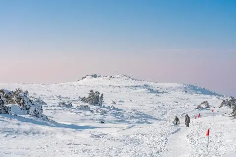 Real Jeju <Hallasan Mountain Snowflake Hiking> 대표이미지