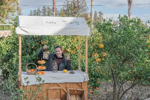 Where did Jeju Island’s tangerines come from? 대표이미지