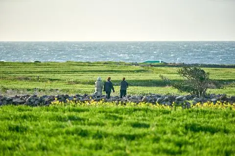 Gapado Green Barley Festival 대표이미지