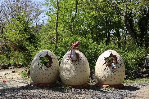 Forest Safari 대표이미지