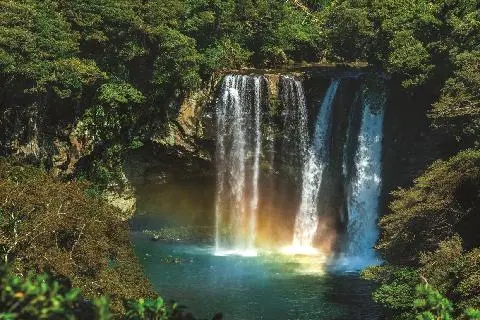 가심비×가성비 <서귀포여행 추천 명소>