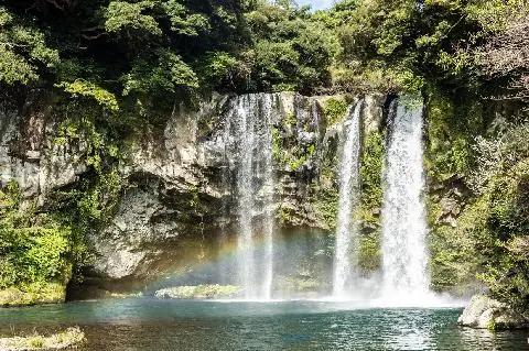 가심비×가성비 <서귀포여행 추천 명소> 대표이미지