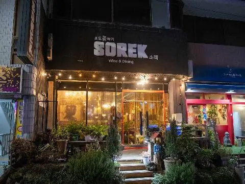 소렉 대표이미지