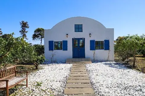 덴드리 대표이미지