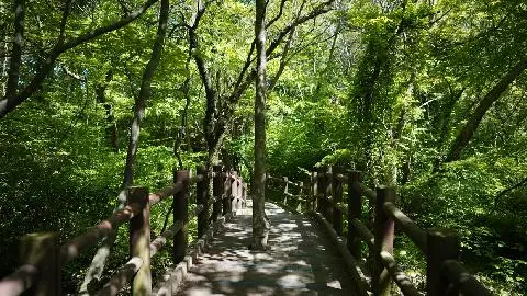 자연이 살아 숨 쉬는 곳 <초여름 싱그러운 제주> 대표이미지